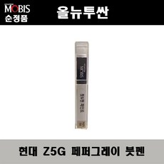 올뉴투싼순정오디오