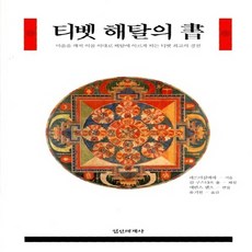 정신세계사 새책-스테이책터 [티벳 해탈의 서]-정신세계사-파드마삼바바 지음 칼 구스타프 융 해설 유기천 옮김-불교사/불교철학, 티벳 해탈의 서, NSB9788935701698