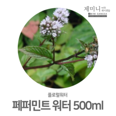 편백워터
