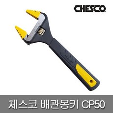 체스코cp50