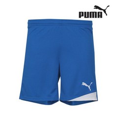 엑시토배구금액