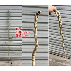 감태나무 연수목 장수 1800지팡이 장식 스님 도사 자연목 지팡이, 15