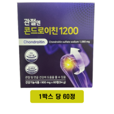 콘드로이친 관절엔 콘드로이친1200