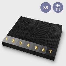 팜파스토퍼커버