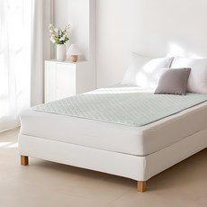 HanilMedical 탄소열선 프리미엄 전기요 HL-S214(23), 민트그린, 중(100 x 180 cm) 민트그린, 중(100 x 180 cm)
