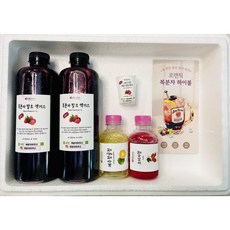 고창 토종 복분자엑기스 세트+증정(청귤청300ML)