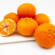제주 천혜향 로얄과 5kg 무배 명절선물세트 레드향, 단품