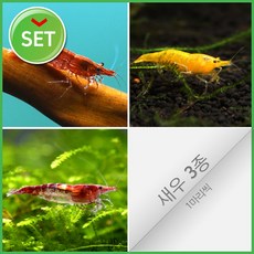 118890e2bbc260975f1b6206eeafe2eaa0aabff8d4695ffe1926cc1a03a0.jpg