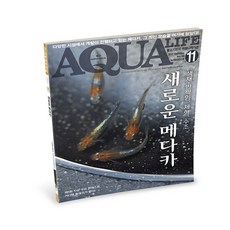 아쿠아라이프 2017년 11월호 [새로운메다카], 단품
