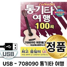 자동차음악usb