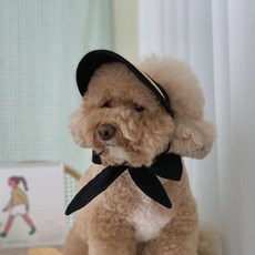 라띠그레 강아지 썬캡 자외선 차단 소형견 산책 여름 모자, 블랙, 블랙계열