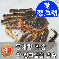 킹크랩주문