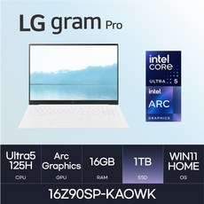 LG전자 그램 프로16 16Z90SP-KAOWK