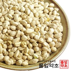 모링가속씨앗 300g 인도산 모링가씨, 4개