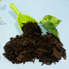 플라팜쿠션체어