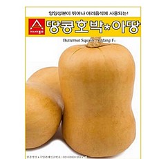 (아시아종묘/호박씨앗종자) 땅콩호박-아땅 (10립)