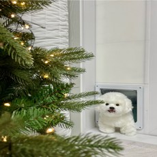  키즈온더블럭 강아지 안전문 견문 애견 고양이 방묘문 베란다 펫도어 캣도어, 숏(최대높이2070) 