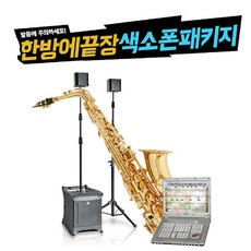 Bradley 알토 색소폰 + Aepel 그루비 반주기(가요버전) + HK Audio Lucas300 Pack, *