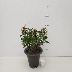 aa13f24c9a21d1f987fc3623e538d4b1d1e439ce3445605cc08d59f591e9.jpg