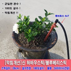 블루베리관수