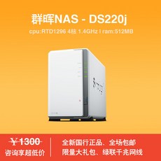 NAS듀얼 Synologynas저장 DS220J가정 PrivateClouds저축 기업 사무네트워크 저축 기계, T01-DS220J올뉴 국내상품