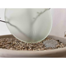 앙스타회전아크릴