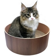 발톱마리는기구