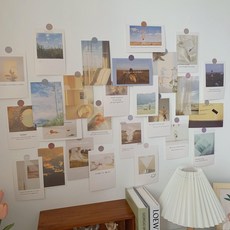 그래픽카드쇼트