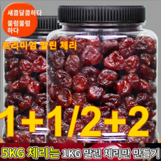 칠레체리대과1kg TOP01