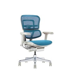 에르고휴먼 2 EHP2-LPL-BF-BK office desk chair, 프레임 : GRAY  메쉬 : 블루