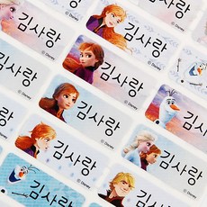 네임코코 주문제작 방수 네임스티커, 715-중형겨울왕국