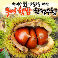 공주부여달콤밤