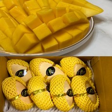 아이팝씨클
