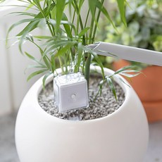 긱프렌즈 IoT 자동 식물 물주기 알림 플랜드투 화분 식물습도계, 화이트,