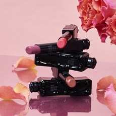 안나수이립글로스