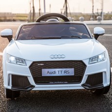 아우디푸쉬카캐노피