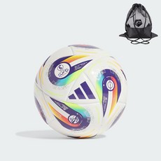 아디다스 유아 아동 축구공 미니볼 스킬볼 W 유로25 + 메쉬볼백, 1개, W_EURO25