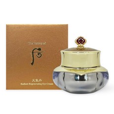 더후 천기단 화현 아이크림 25ml, 1개