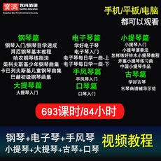 전자바이올린 피아노/전자피아노/손풍금/바이올린/첼로/거문고/하모니카 영상 강의 온라인 수업, C01-직접 관람, T02-교과
