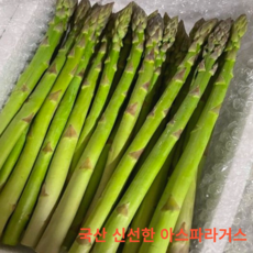 국내산 신선한 생 아스파라거스 1kg 가정용 국산 싱싱한 아스파라거스 새순 2024년 봄 제철채소 최상급 품질 새순줄기, 1개