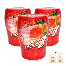 대동해모로아이스쿨