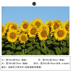 해바라기그림벽지