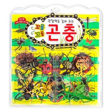 관찰력을 길러 주는 올망졸망 곤충, 효리원