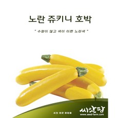 옐로우쥬키니