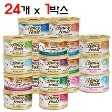 팬시피스트청키