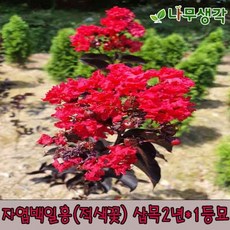 366ffcdf98859de85caf96b7574184e9c2529f1bc47fee8b7833abecb286.jpg
