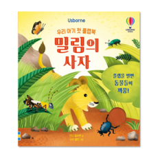 푸른사자와니니 TOP01