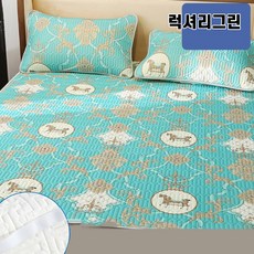 kk사이즈스프레드