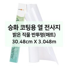HTV론트 승화 코팅 밝은 직물용 열 전사지 반투명(매트) 전처리 열 전사 실루엣 카메오 포트레이트, 30.48cmX3.048m(10ft), 1롤
