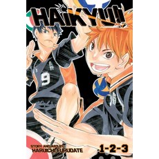 (영문도서) Haikyu!! (3-In-1 Edition) Vol. 1: Includes Vols. 1 2 & 3 Paperback, Viz Media, English, 9781974747092